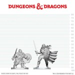 Dwarf Fighter and Orc Paladin