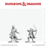 Elf Ranger and Dragonborn Monk