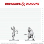 Drow Elite Warrior and Drow Priestess of Lolth