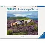 Ravensburger Wild Horses in the Heather