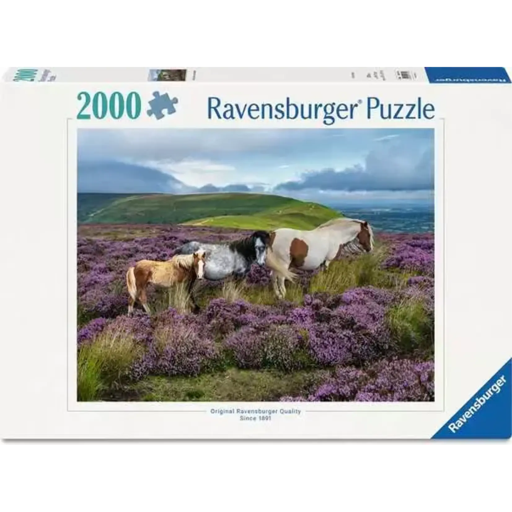Ravensburger Wild Horses in the Heather