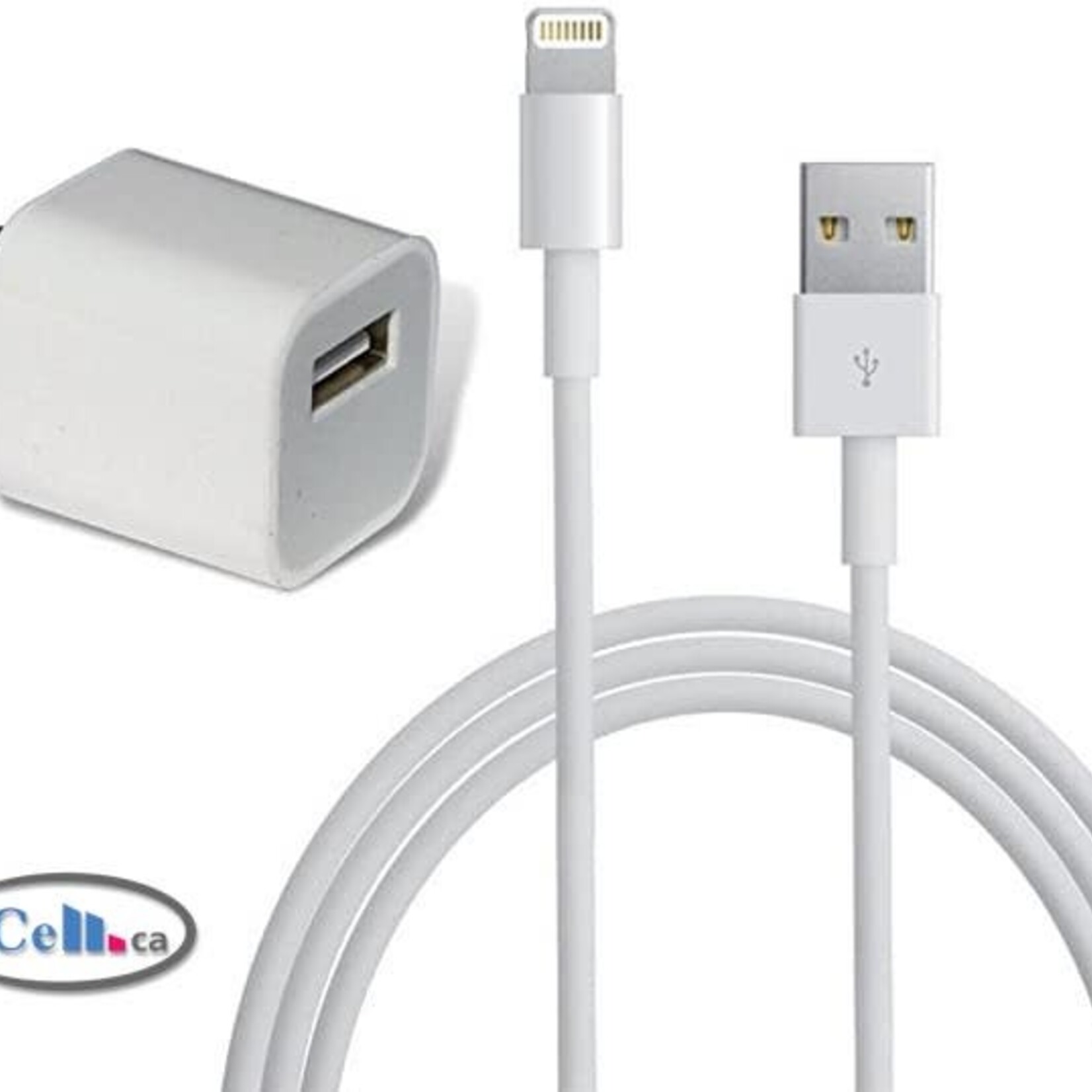 Chargeur Original Prise Secteur Bloc iPad et Autres Blanc 12W