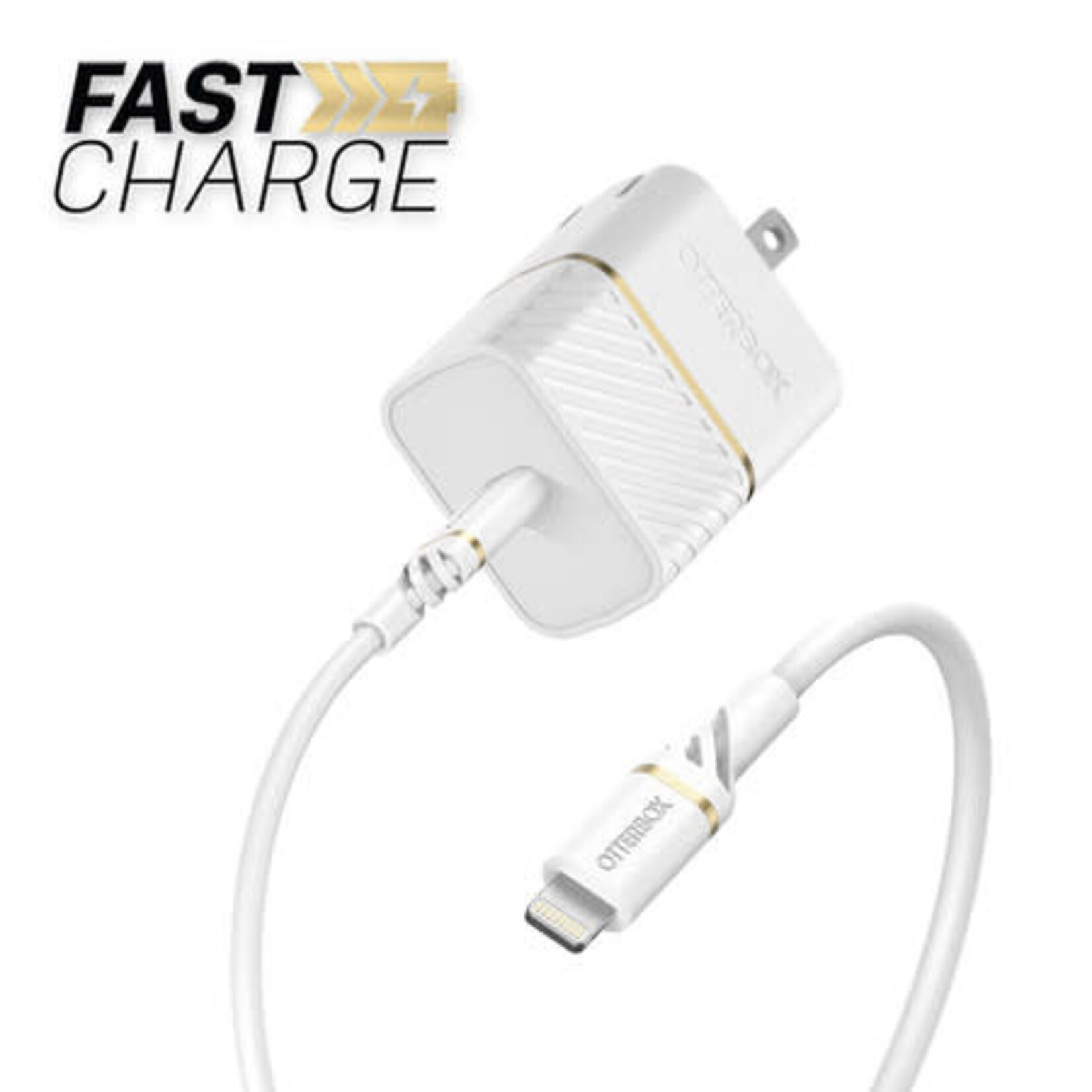 Chargeur Mural Fast Charge 20W avec Câble Lightning 3.3ft