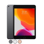 Apple APPLE IPAD MINI 5