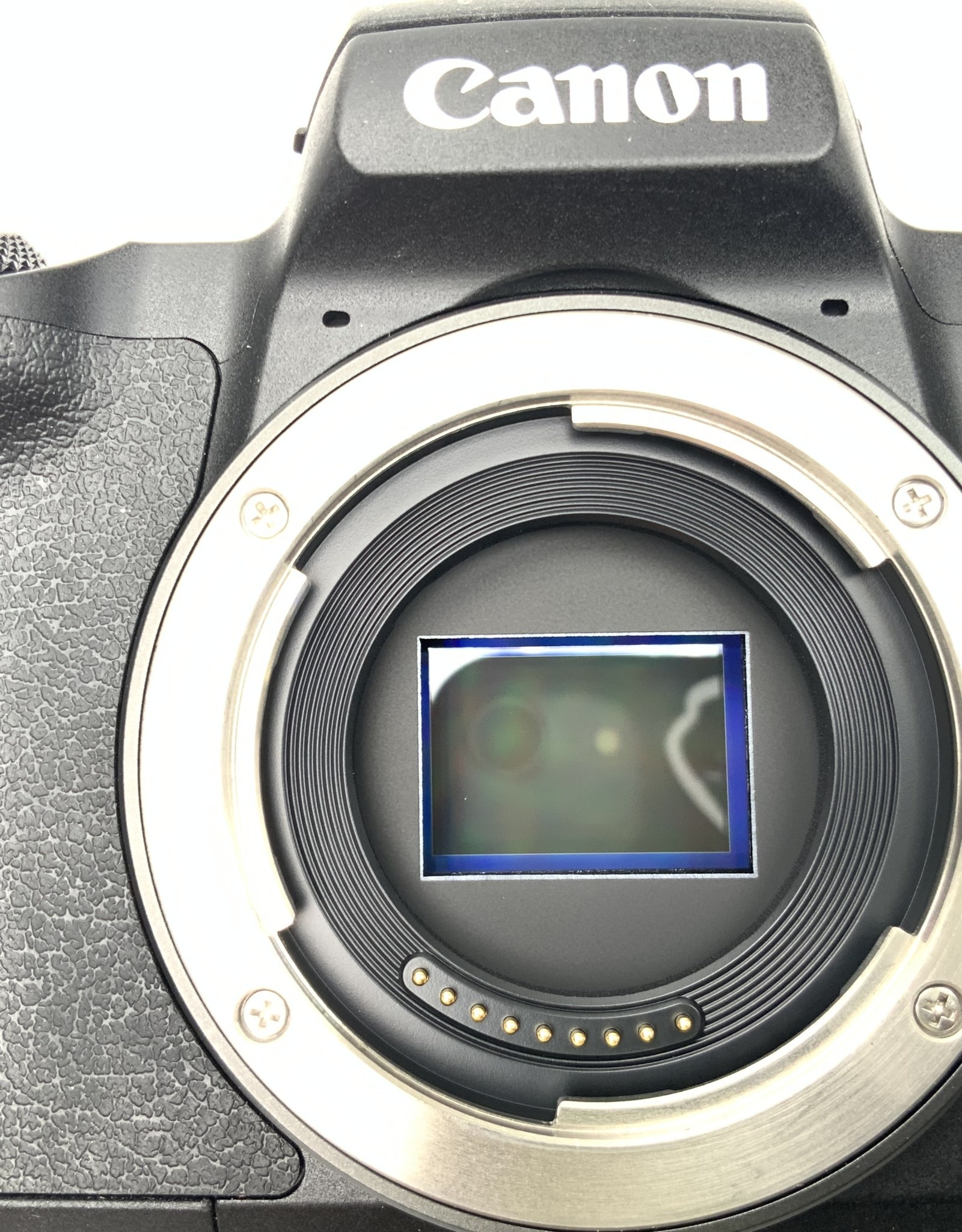 CANON Canon EOS M50 Camera with LifePixel Fulls Spectrum Conversion Used EX