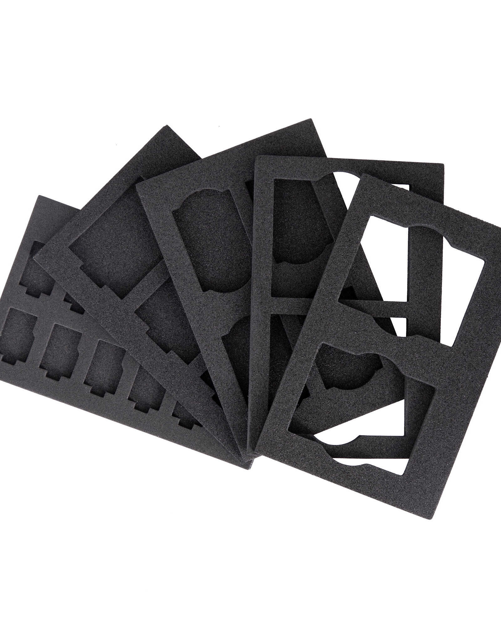 Promaster Multi-Format Memory Case Closeout