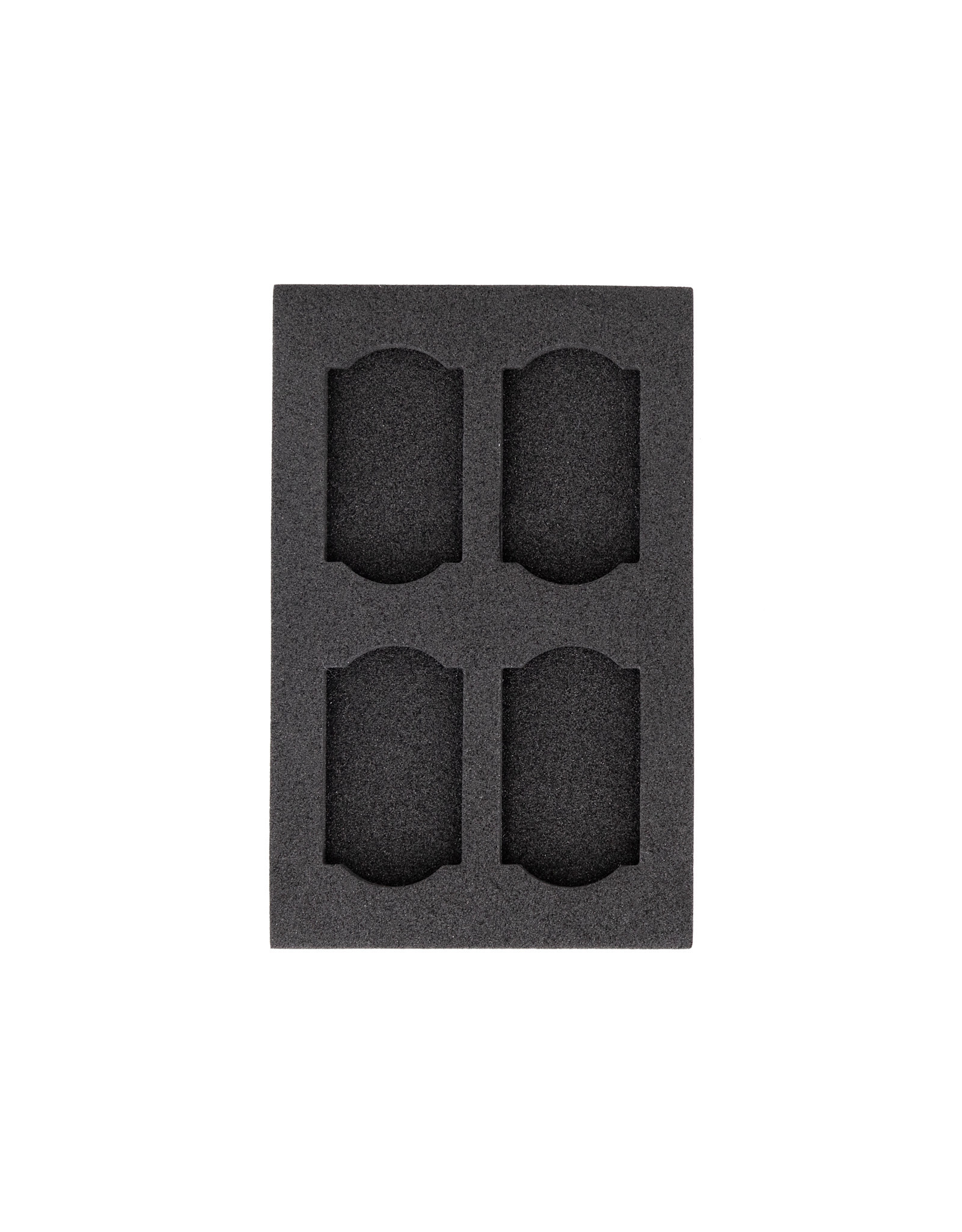 Promaster Multi-Format Memory Case Closeout