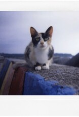 Lomagraphy Lomo’Instant Wide Camera Black Edition CLOSEOUT