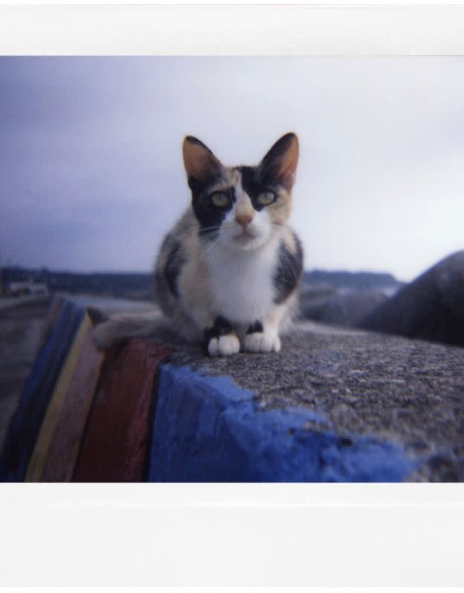 Lomagraphy Lomo’Instant Wide Camera Black Edition CLOSEOUT