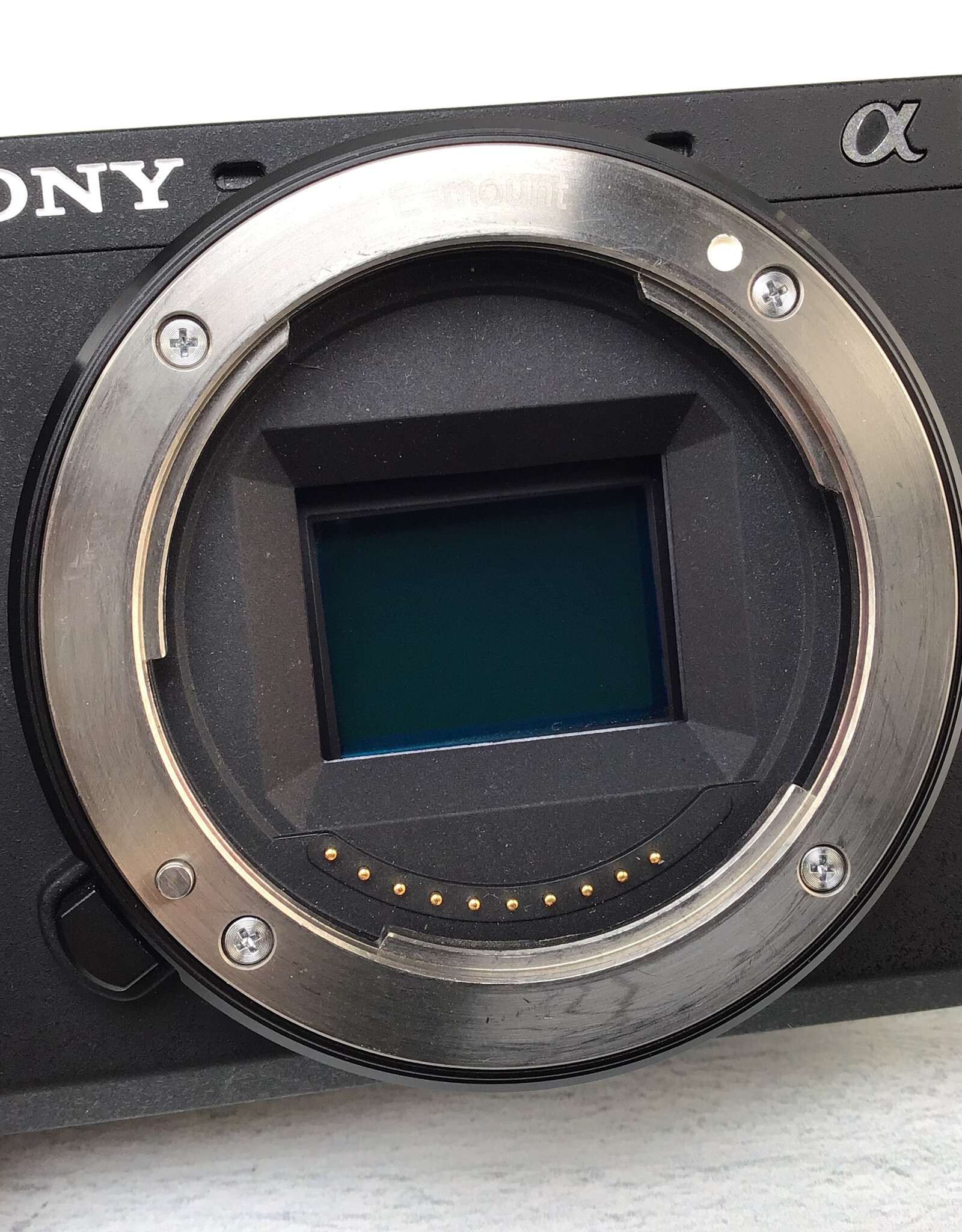 SONY Sony a6600 Camera Body Used Good