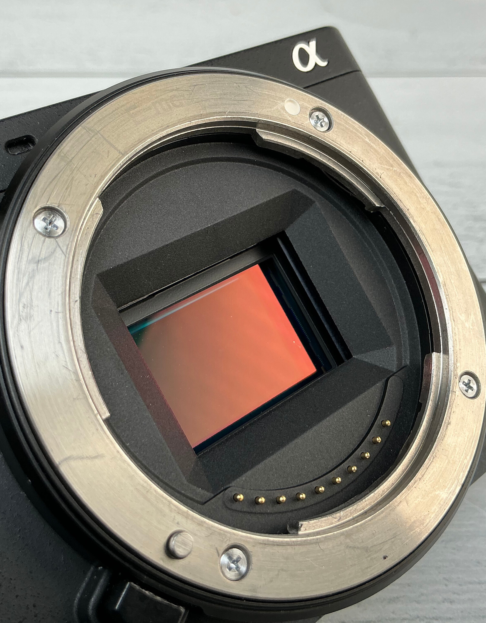 SONY Sony a6600 Camera Body Used Fair