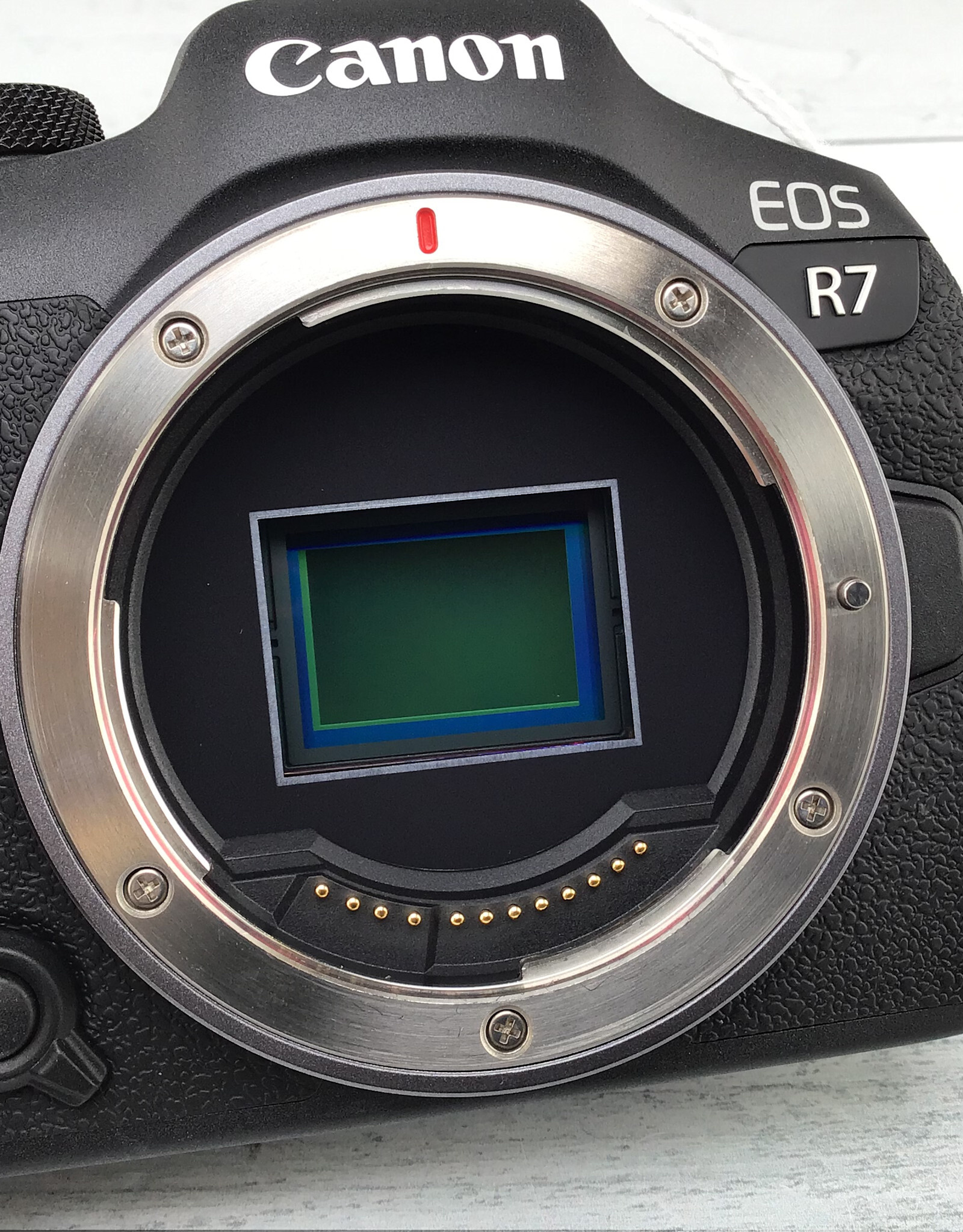 CANON Canon EOS R7 Camera Body Used Good