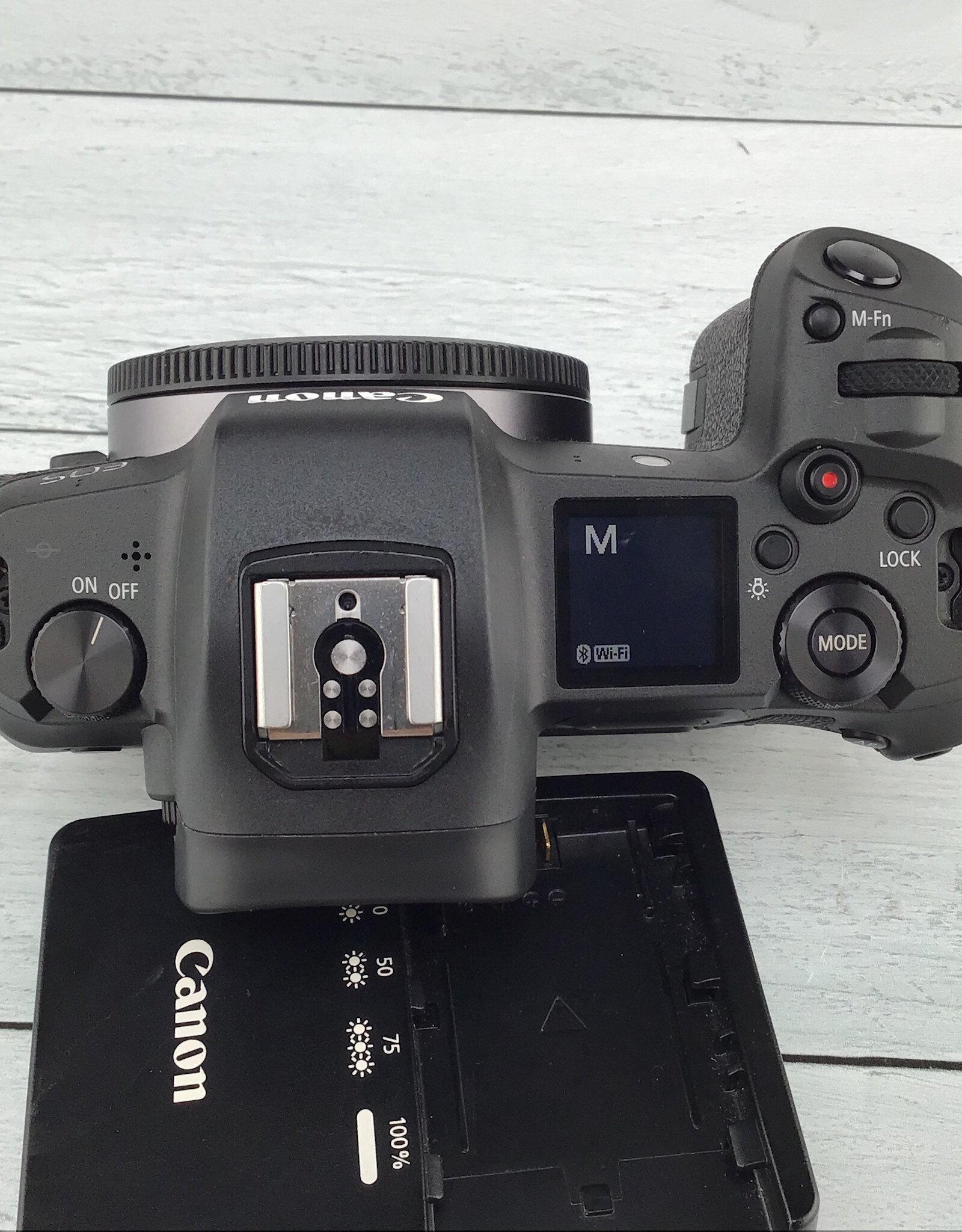 CANON Canon EOS R Camera Body Used Good
