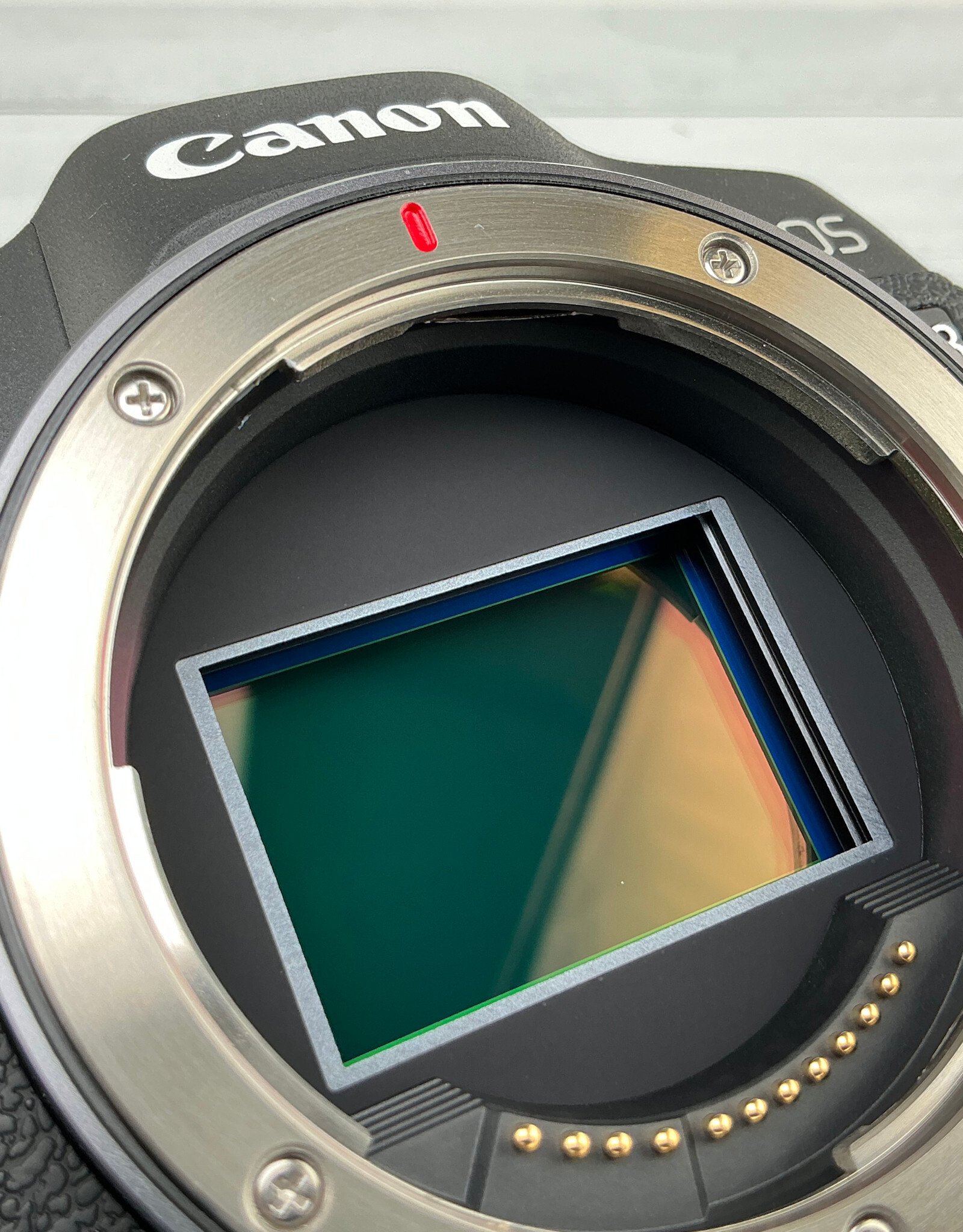 CANON Canon R8 Camera w/ 24-50mm Lens Used Good