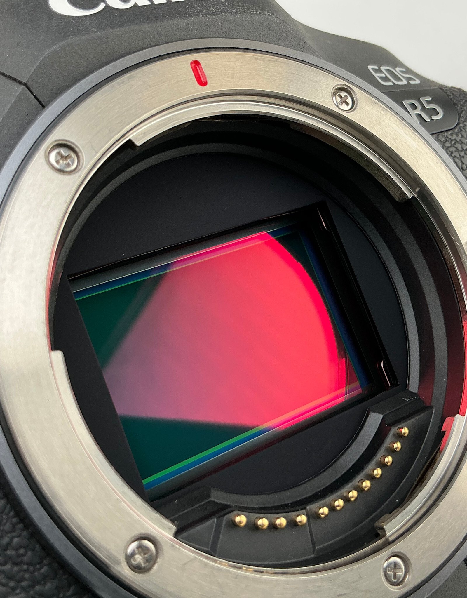 CANON Canon EOS R5 Camera Body No Charger Used Good