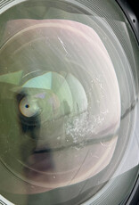 ROKINON Rokinon 14mm f2.8 ED AS IF Lens for Nikon Fair