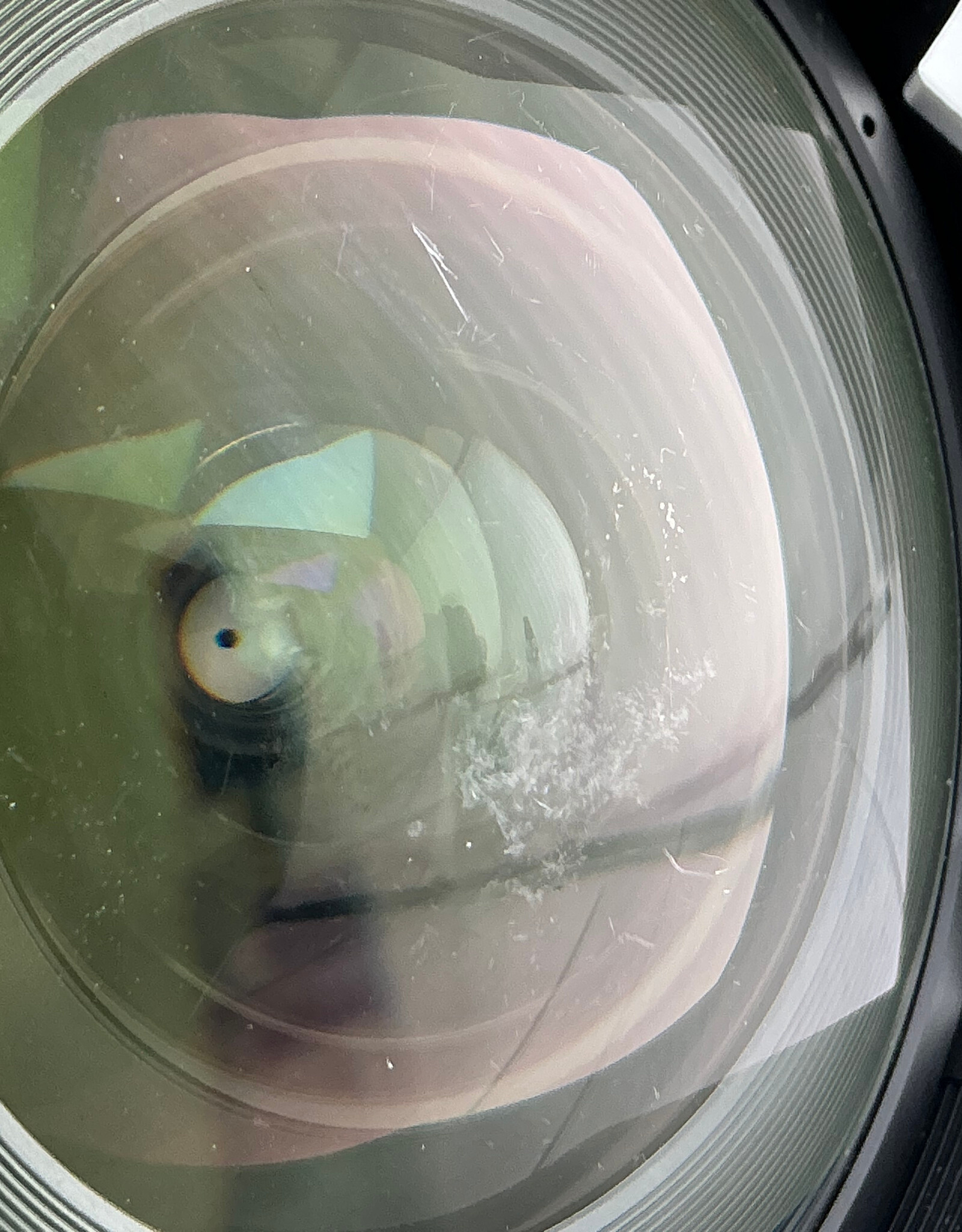 ROKINON Rokinon 14mm f2.8 ED AS IF Lens for Nikon Fair