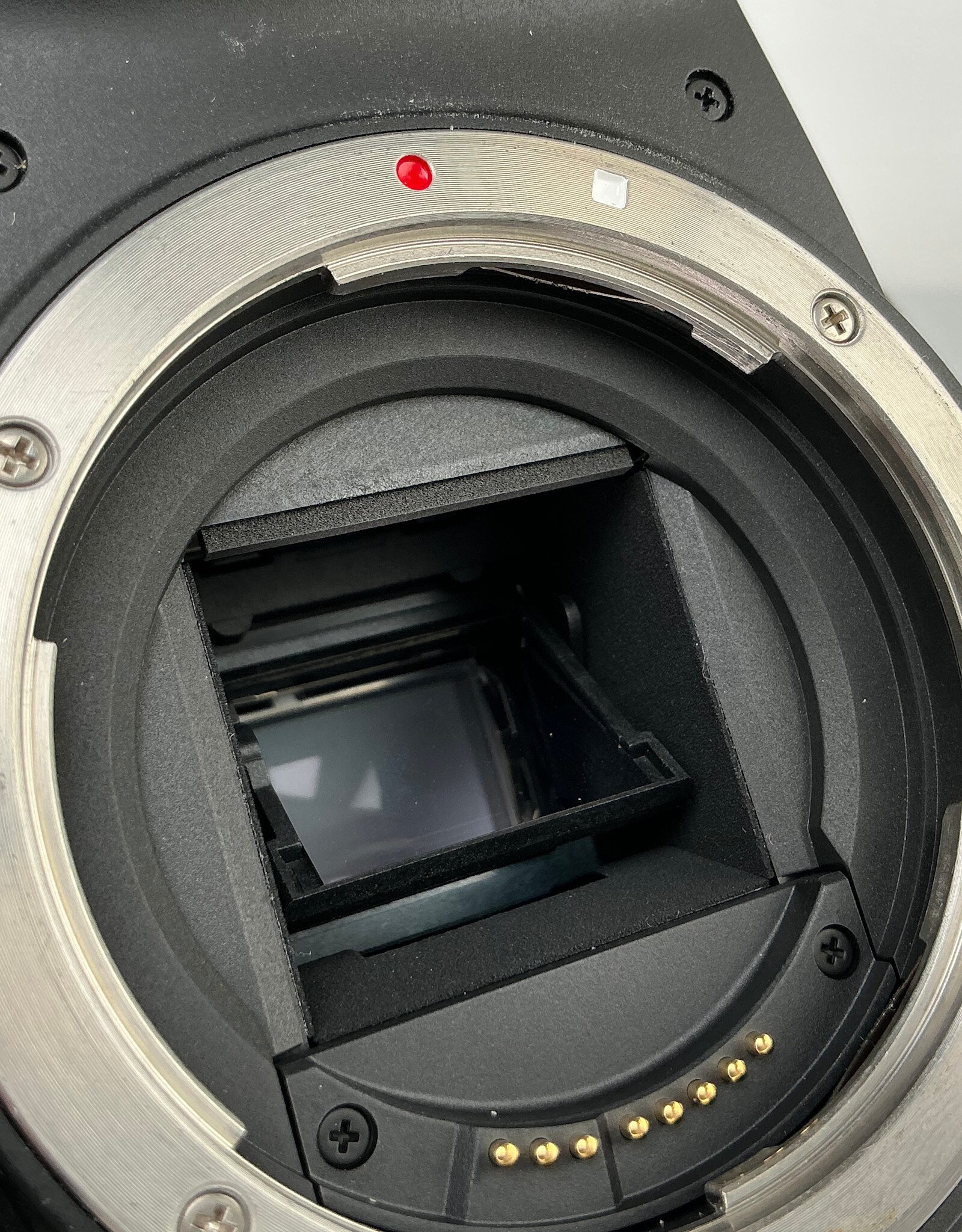 CANON Canon EOS Rebel T8i Camera Body No Charger Used Good