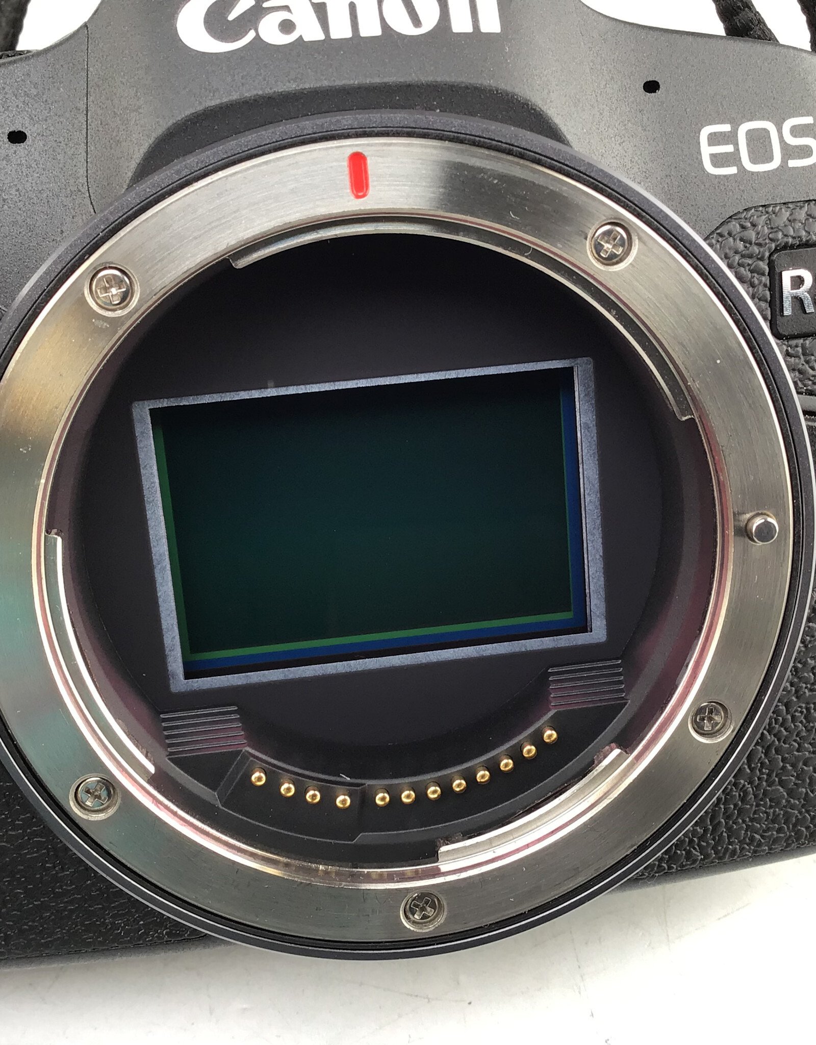 CANON Canon EOS R8 Camera Body Used Good