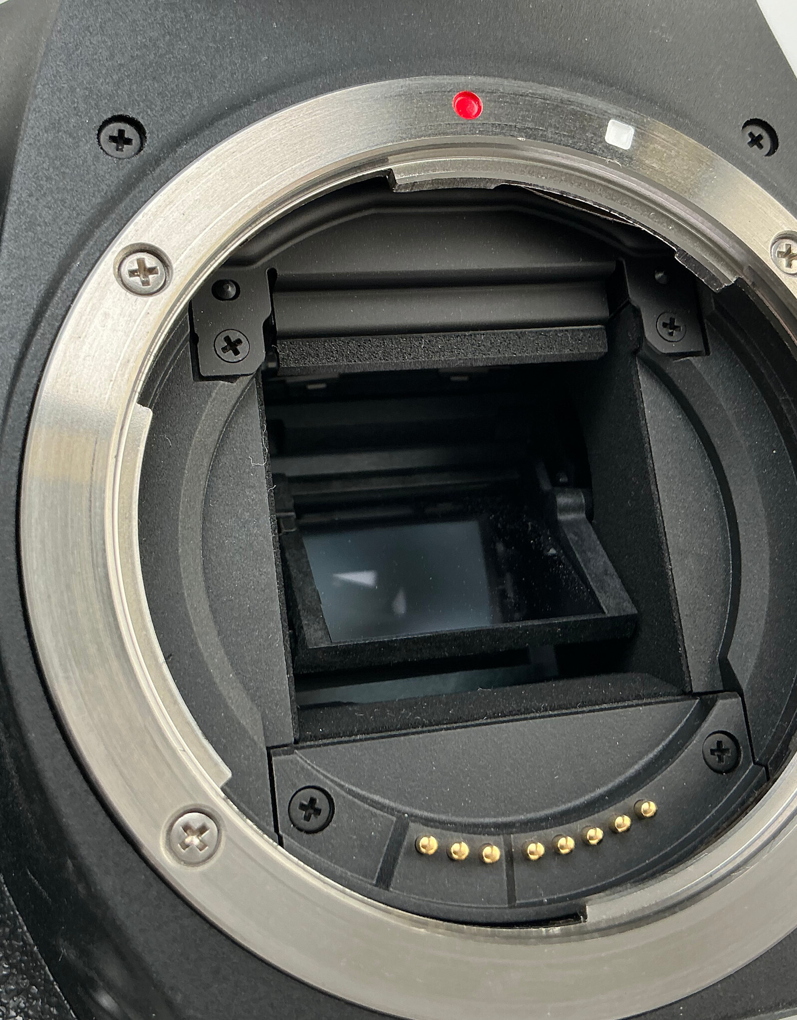 CANON Canon 90D Camera Body w/ Charger Used Good