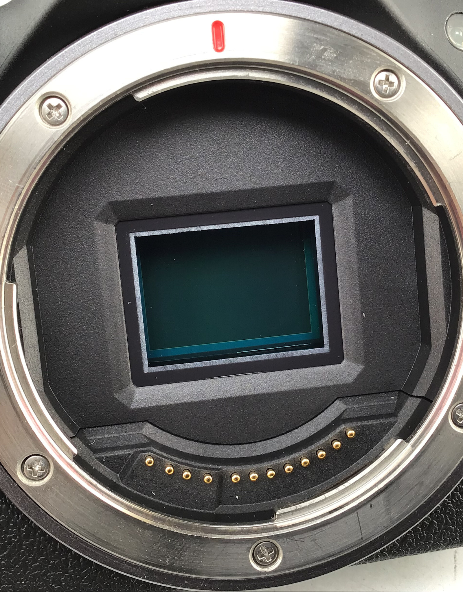 CANON Canon EOS R50 Camera Body Used Good