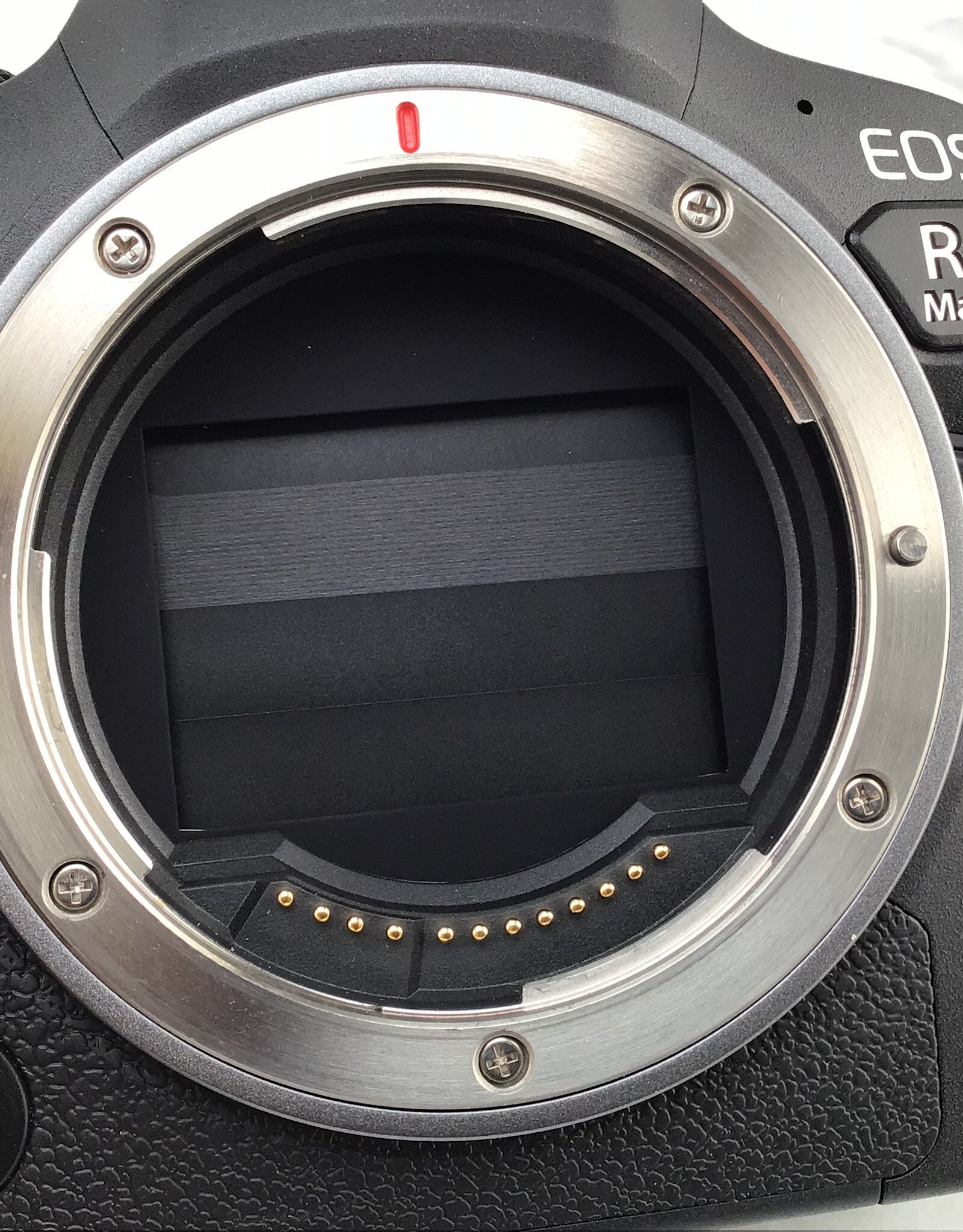 CANON Canon EOS R6 Mark II Camera Body no Charger Used Good