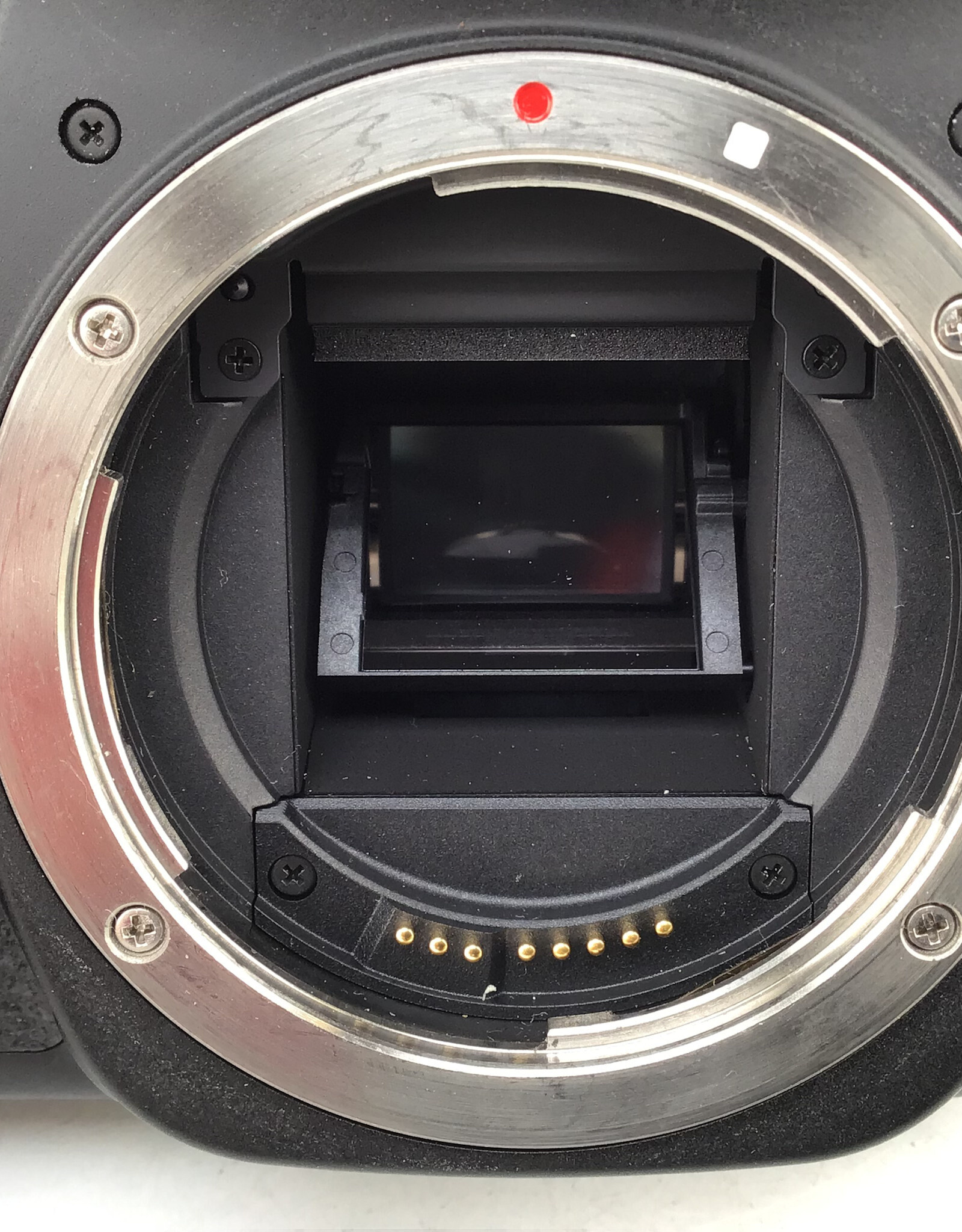 CANON Canon EOS 80D Camera Body No Charger Used Good