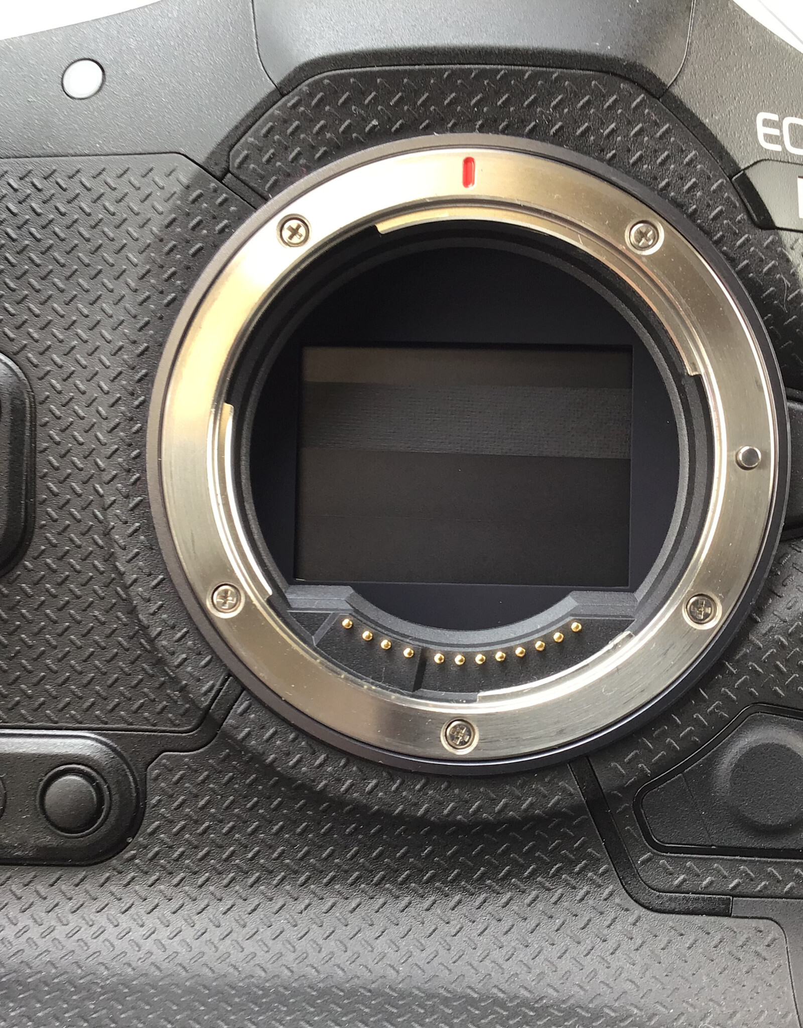 CANON Canon R1 Camera Body Shutter Count 4000 No Charger Used Good