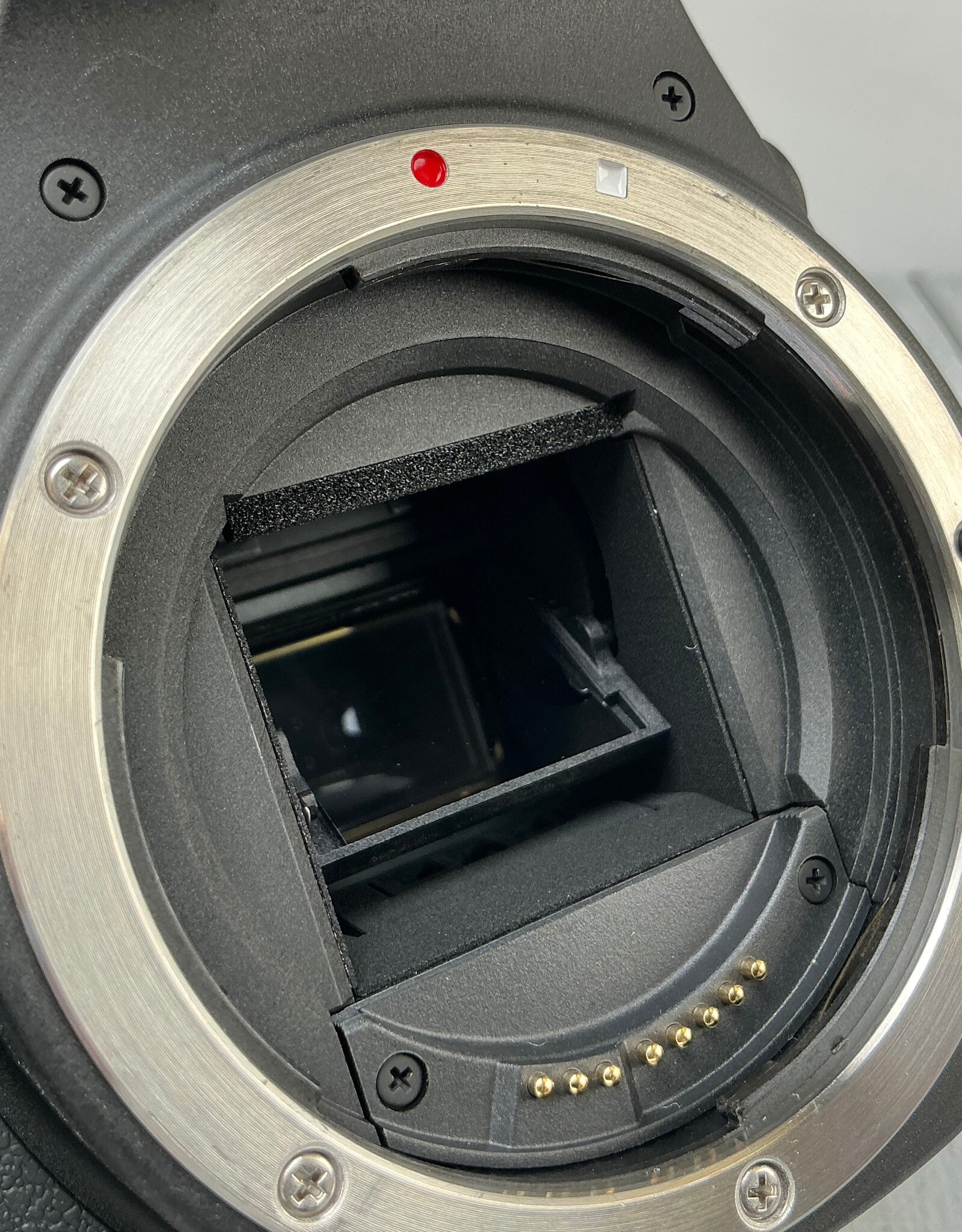 CANON Canon SL2 Camera Body Used Good