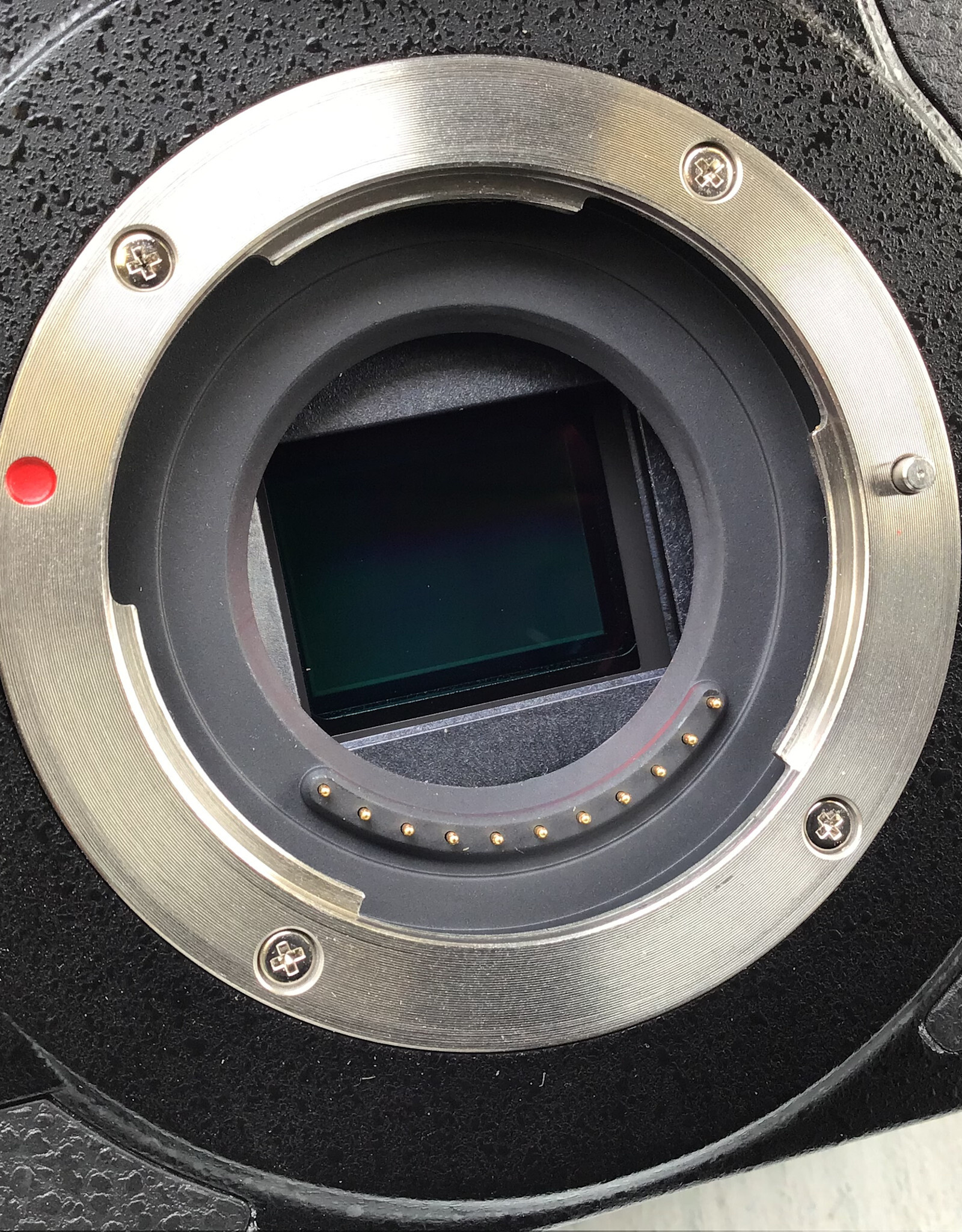 PANASONIC Panasonic GH5S Camera Body Used Fair