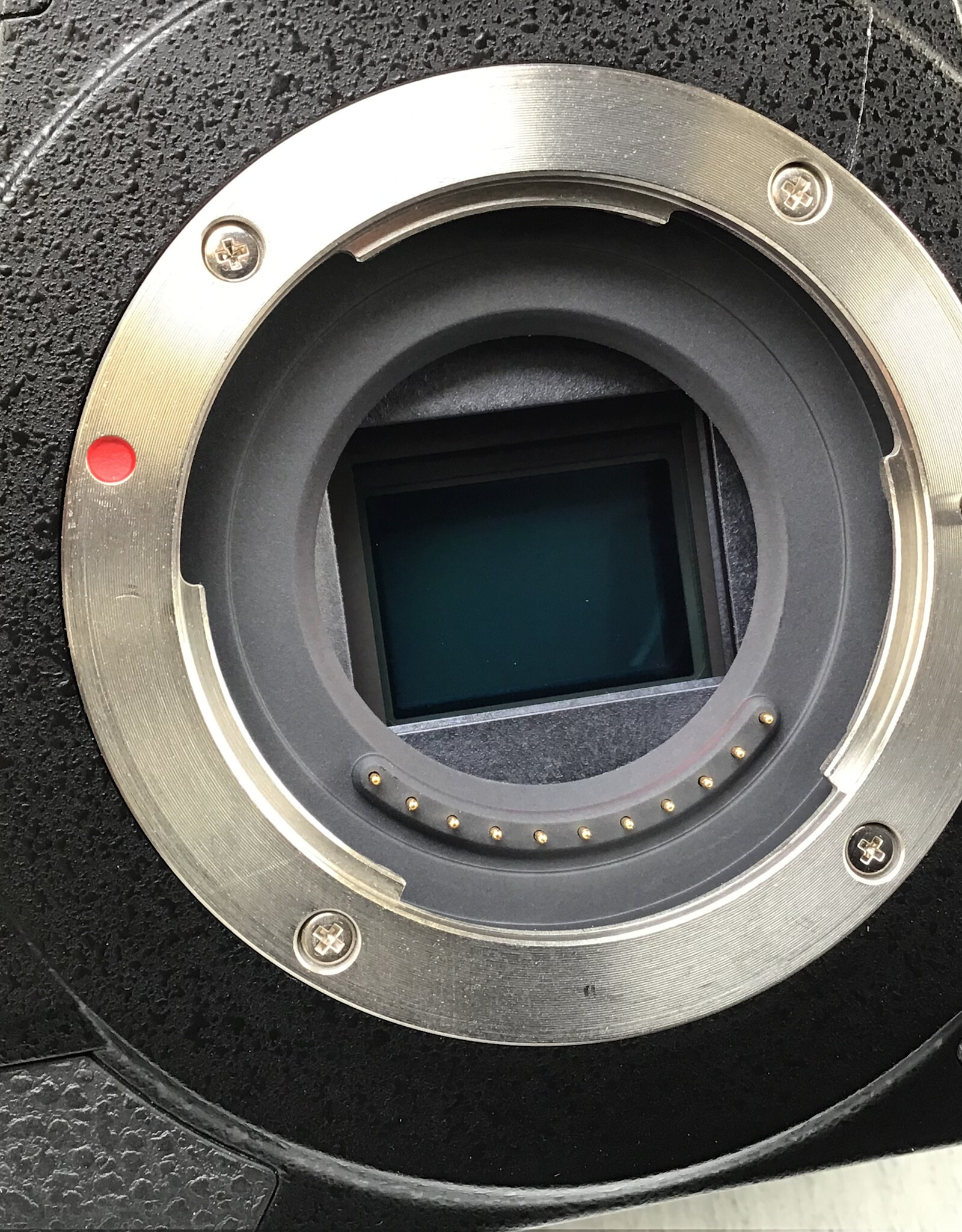 PANASONIC Panasonic GH5 Camera Body Used Good