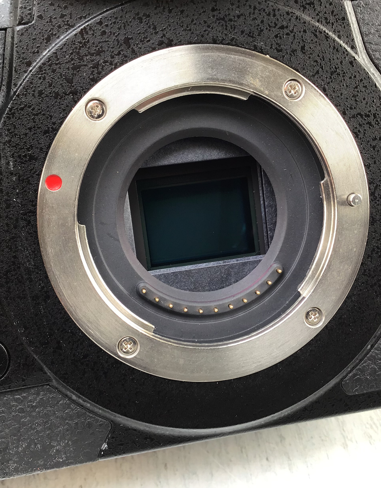 PANASONIC Panasonic Lumix GH5 Camera Body Used Good