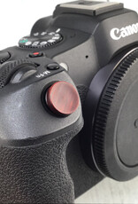 CANON Canon EOS R8 Camera Body Used Good
