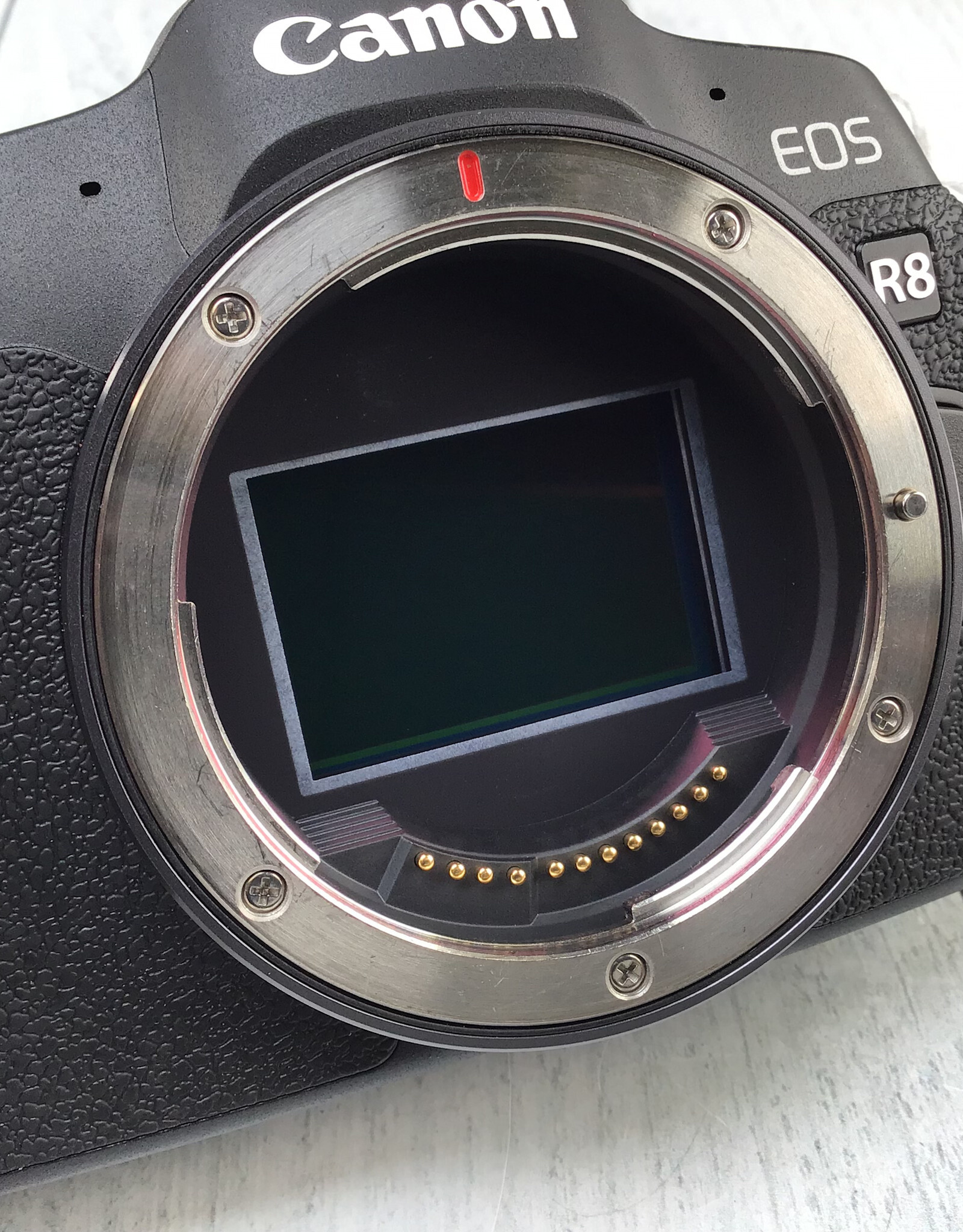CANON Canon EOS R8 Camera Body Used Good