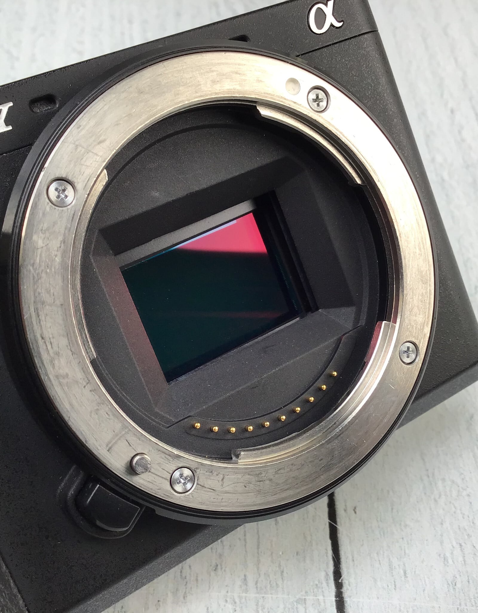 SONY Sony a6600 Camera Body Used Good