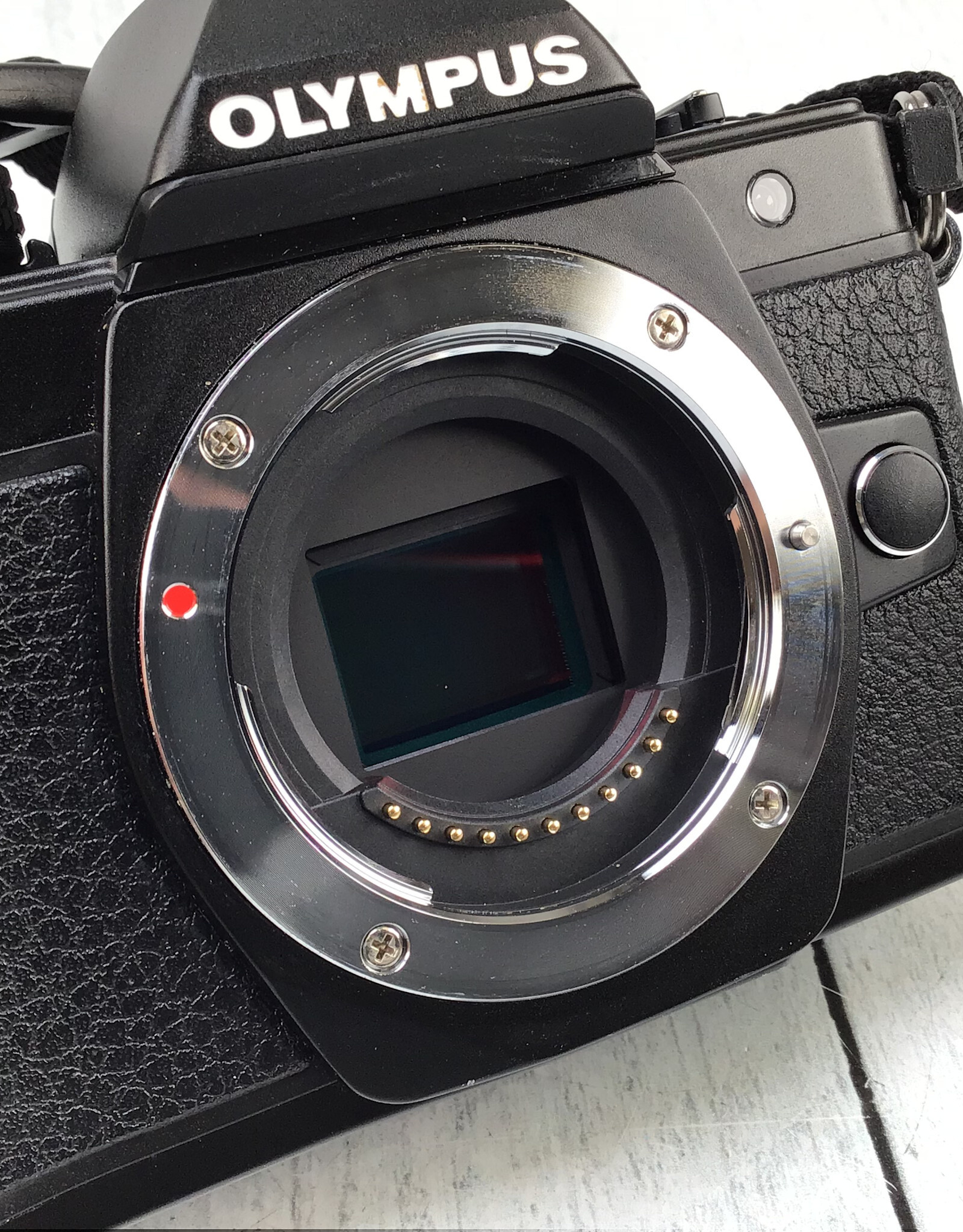 OLYMPUS Olympus E-M10 Mark II Camera Used Good
