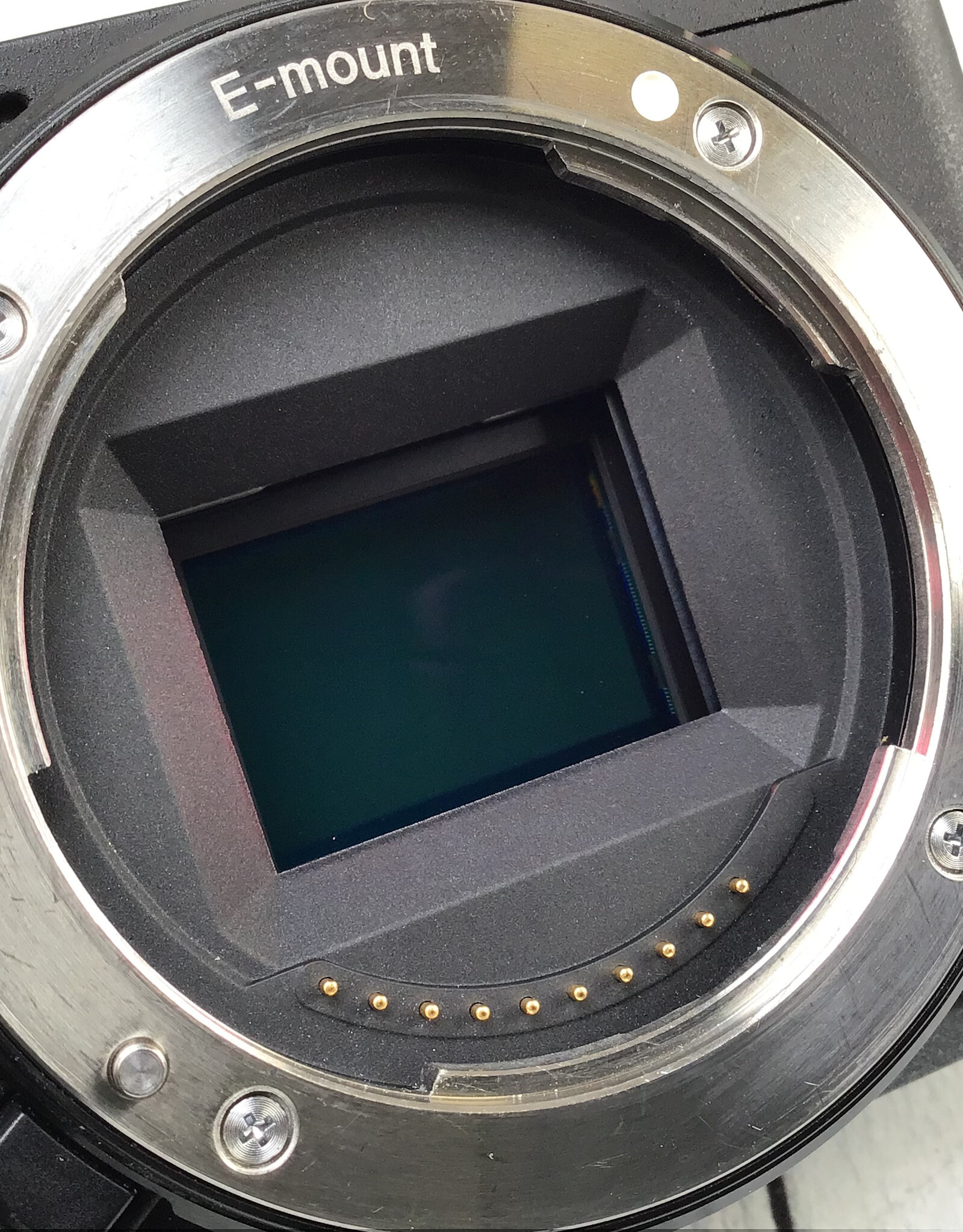 SONY Sony a6600 Camera Body Used Good