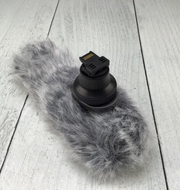 CANON Canon DM-100 Directional Microphone Used Good