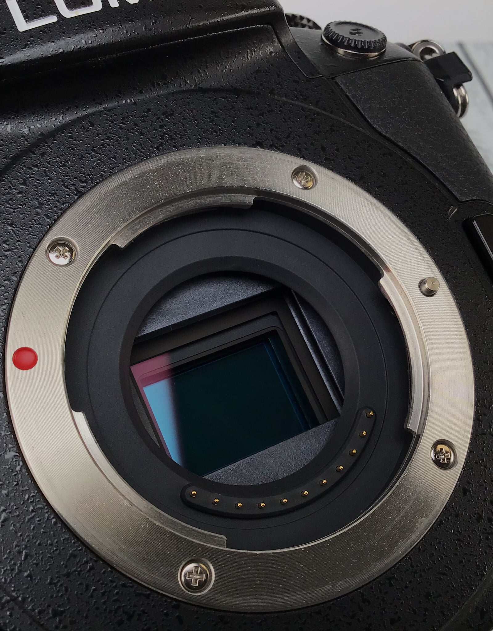 PANASONIC Panasonic Lumix GH5 Camera Body Used Good