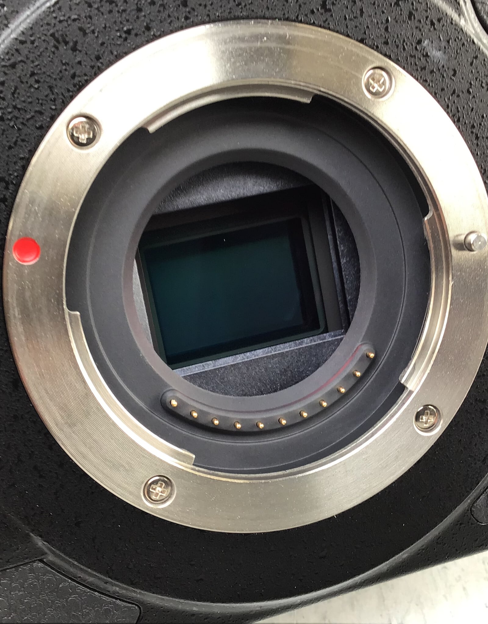 PANASONIC Panasonic Lumix GH5 Camera Body Used Good