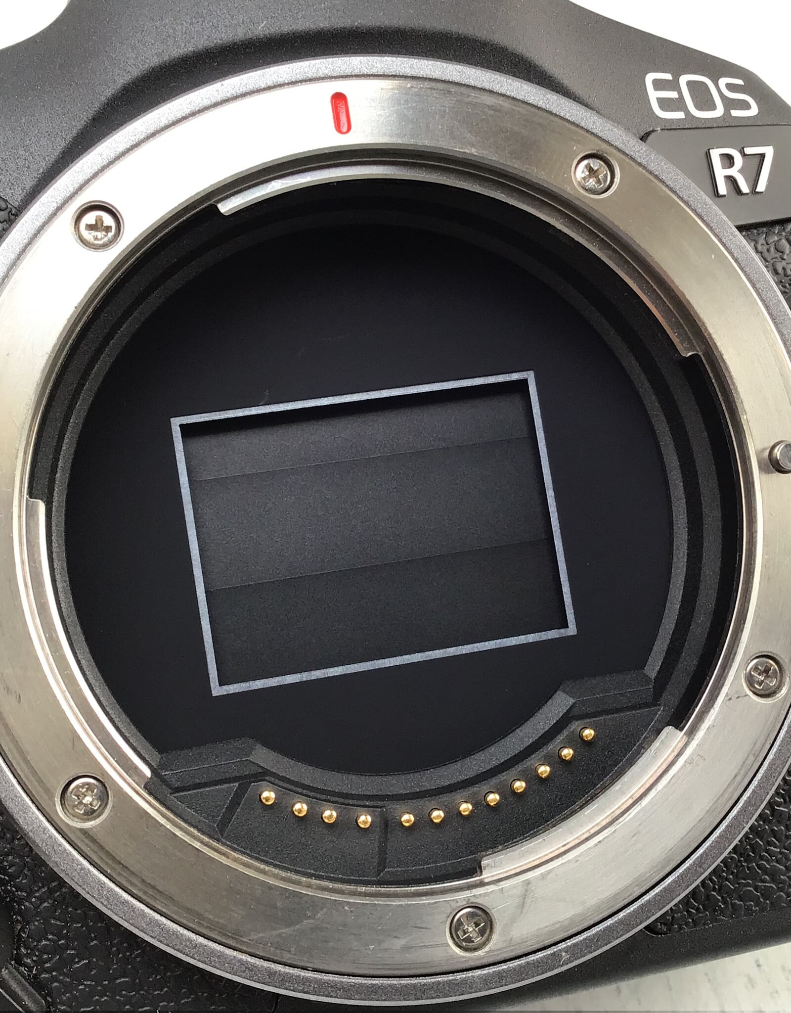 CANON Canon EOS R7 Camera Body Used Good