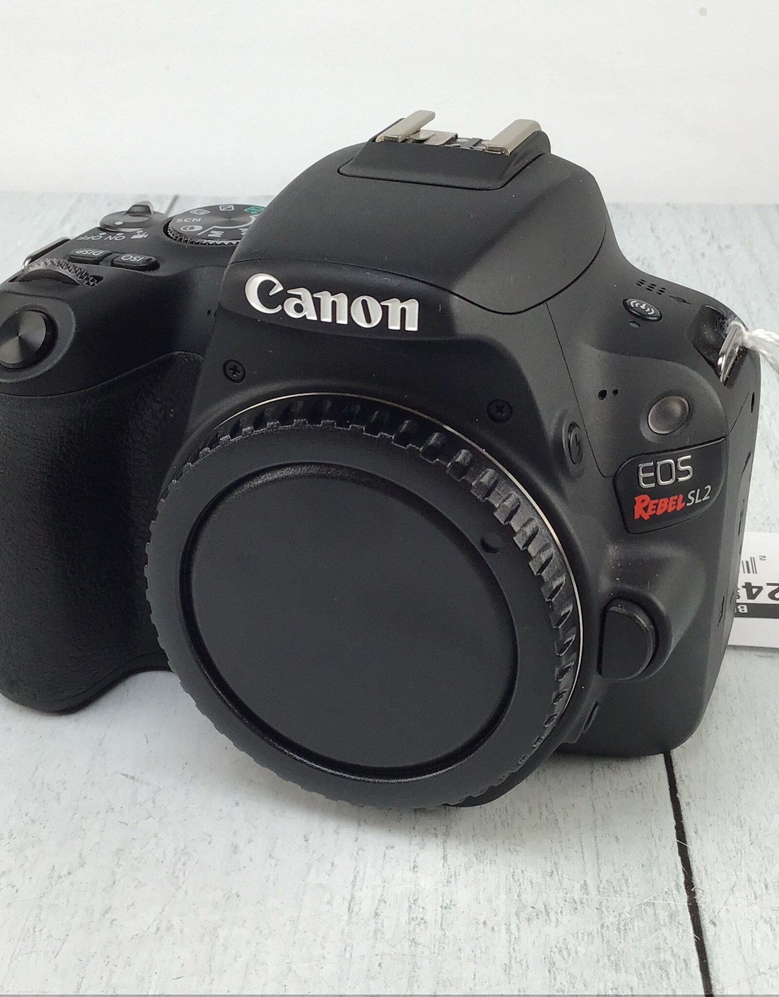 CANON Canon EOS SL2 Camera Body No Charger Used Good