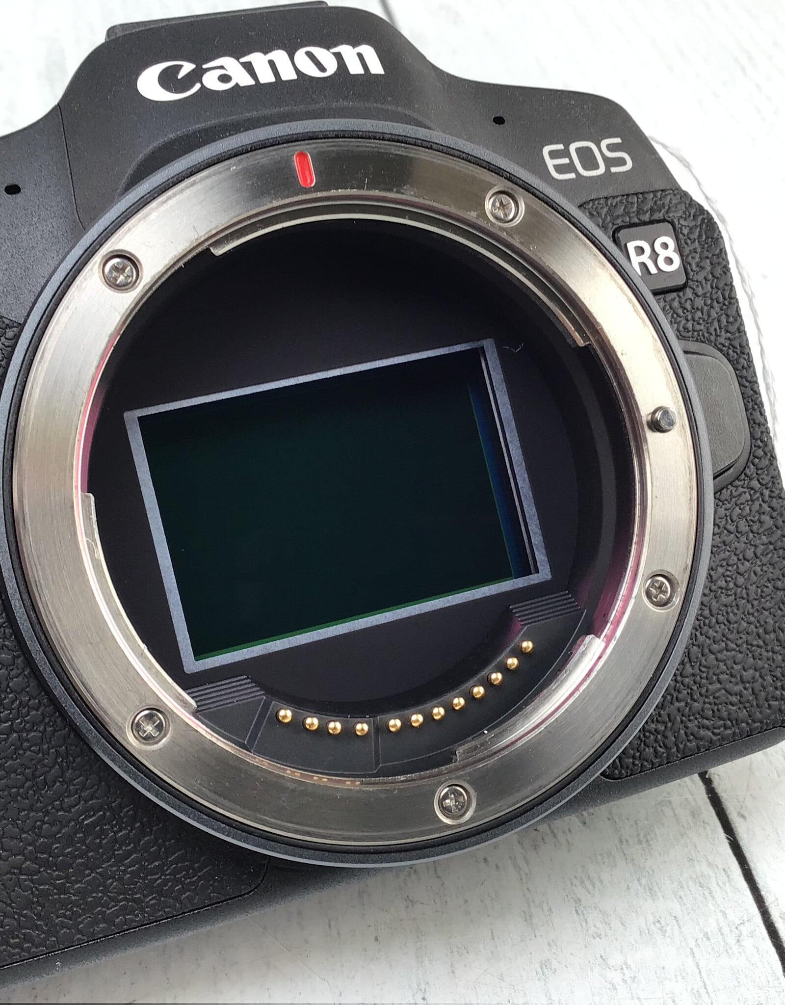 CANON Canon R8 Camera Body Used Good