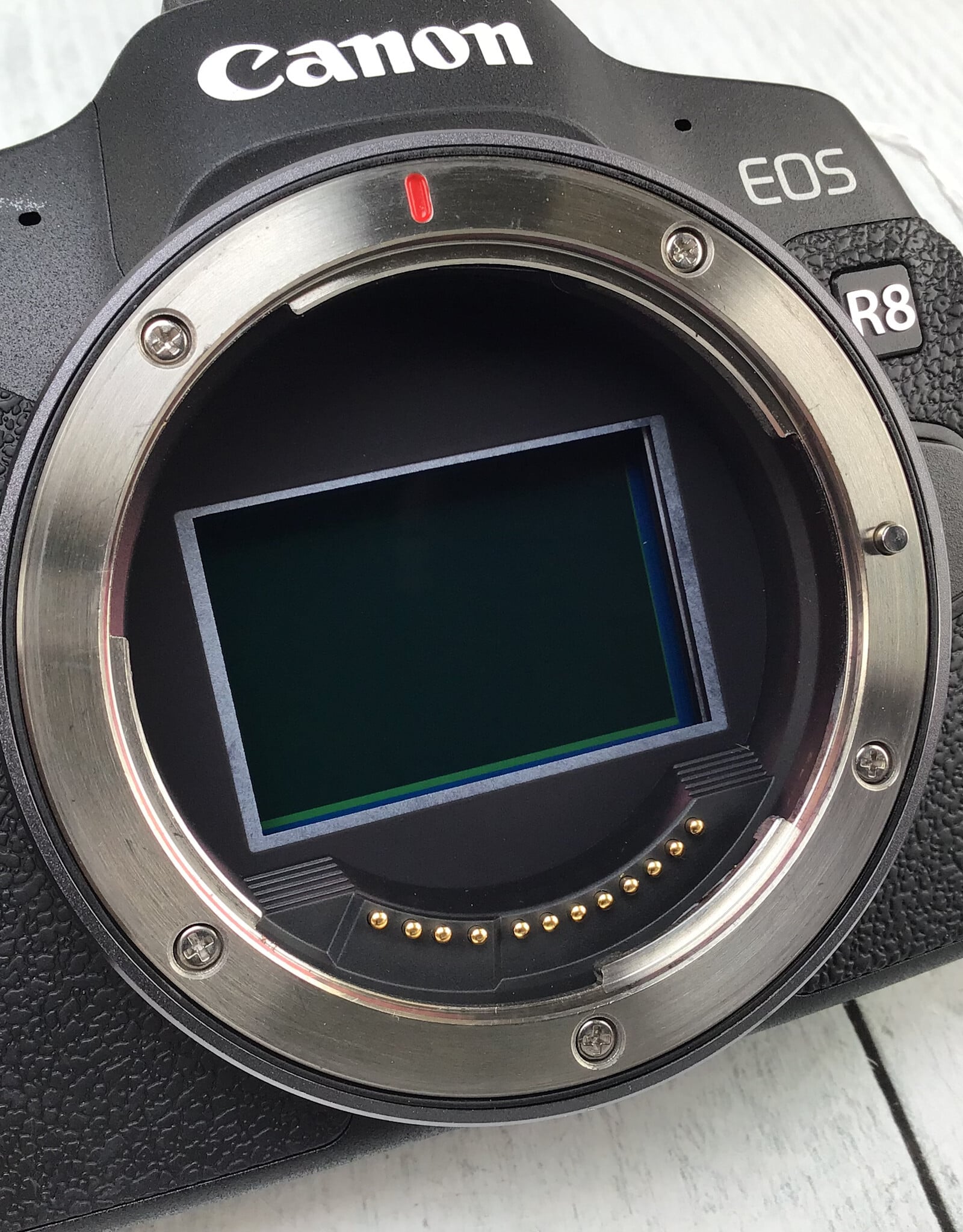 CANON Canon EOS R8 Camera Body used Good