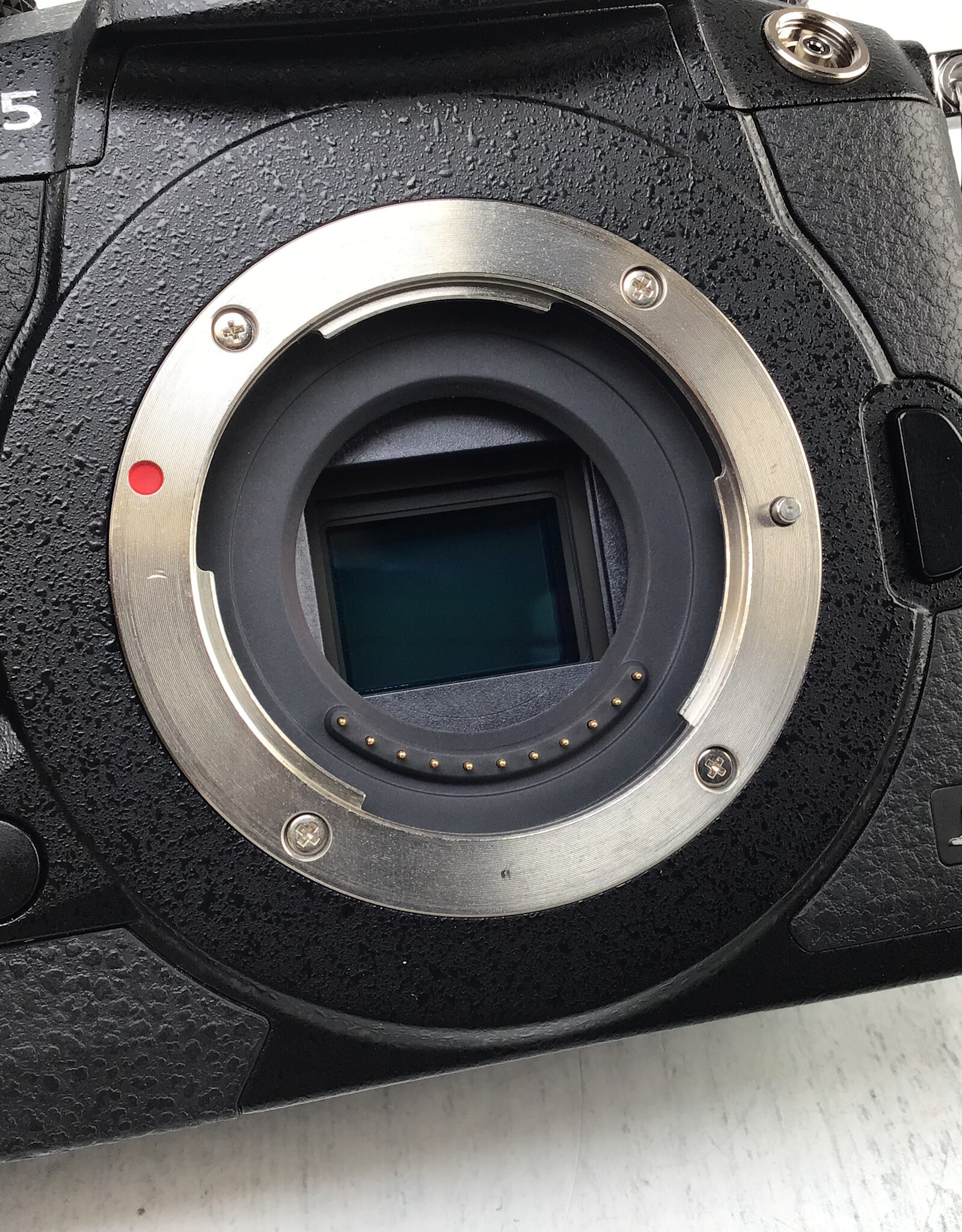 PANASONIC Panasonic GH5 Camera Body Used Good