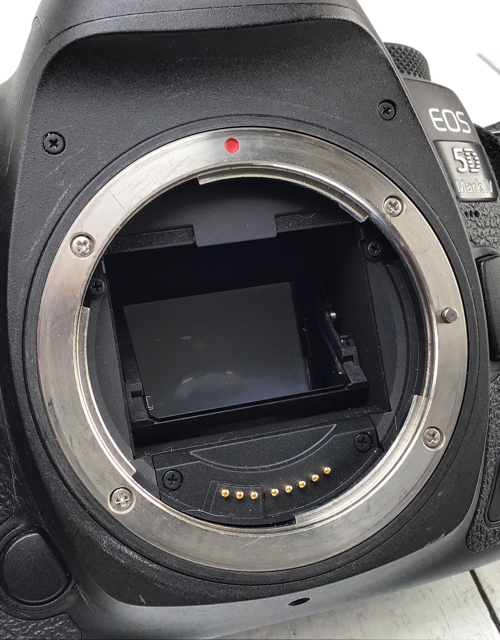 CANON Canon EOS 5D Mark IV Camera Body Used Good