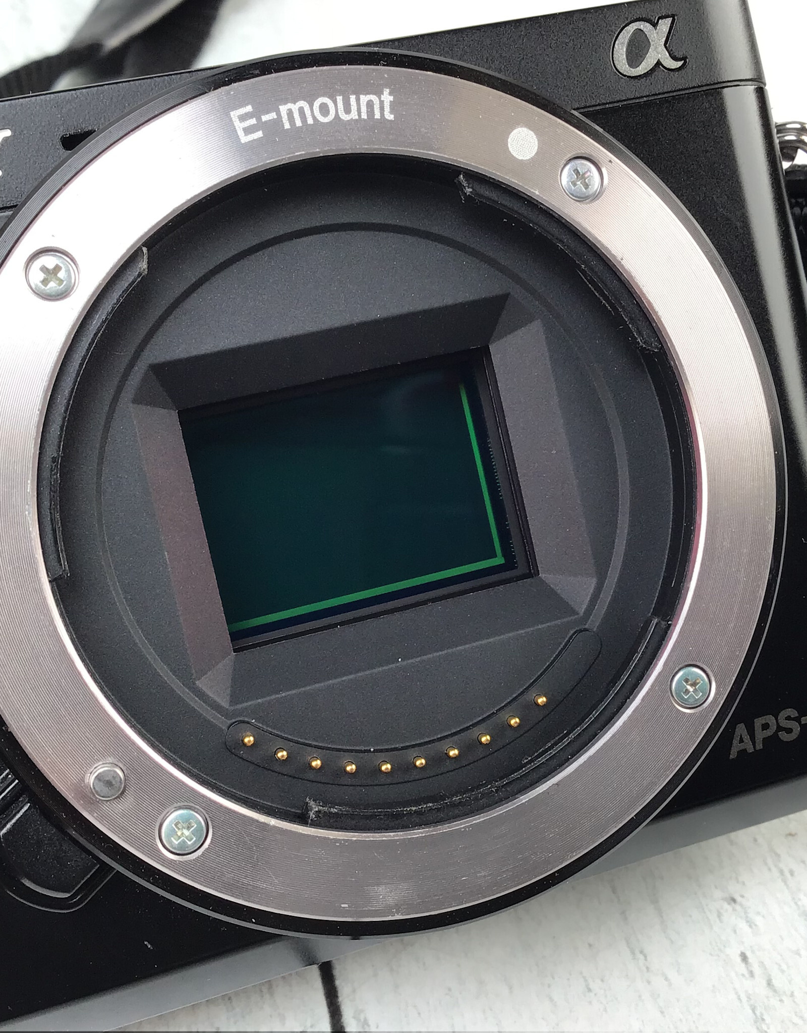 SONY Sony A6000 Camera Body Used Good