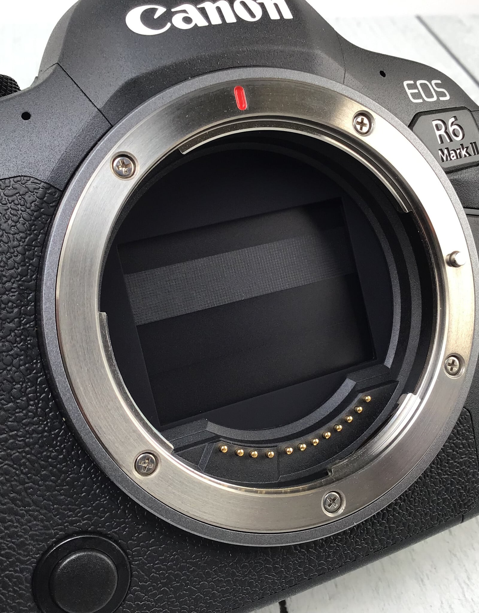 CANON Canon R6 Mark II Camera Body Used Good