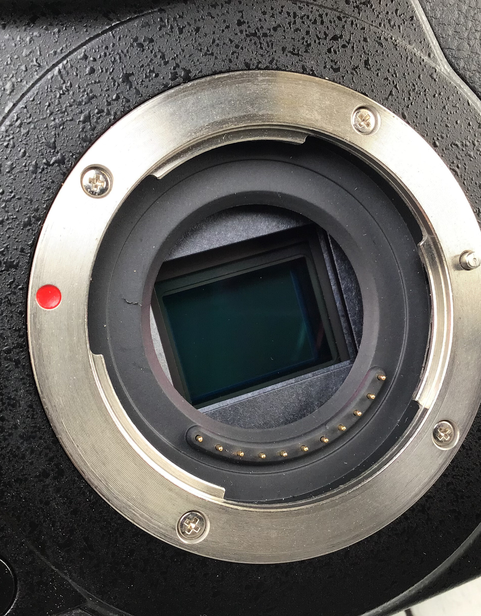 PANASONIC Panasonic GH5 Camera Body Used Good