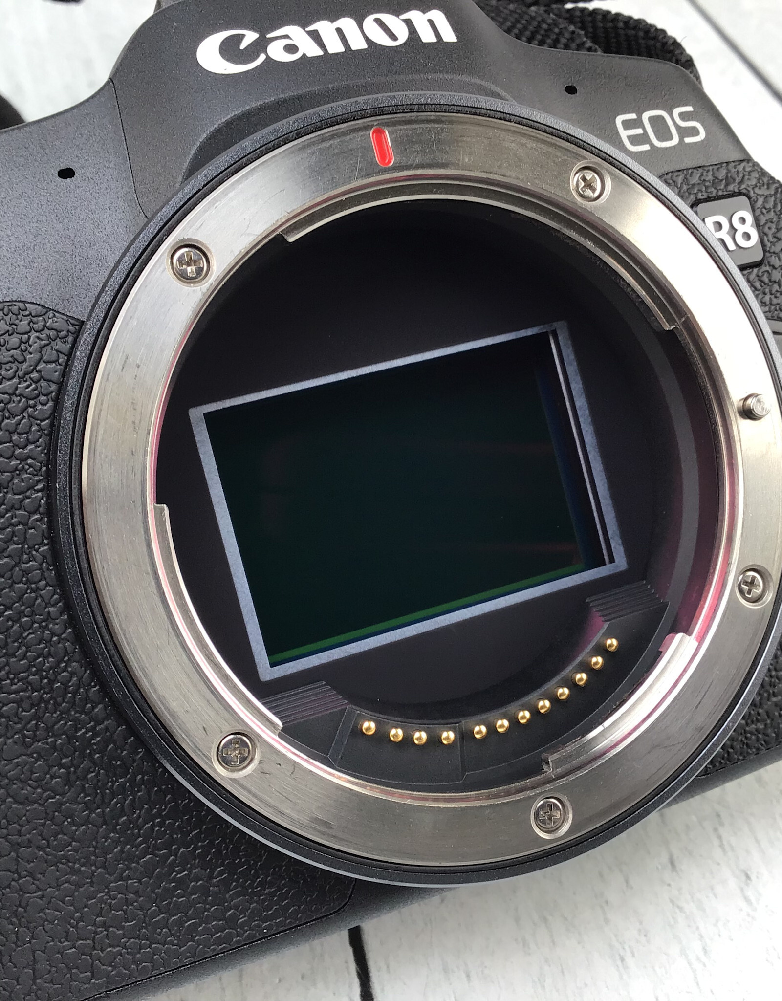 CANON Canon EOS R8 Camera Body Used Good